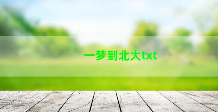 一梦到北大txt