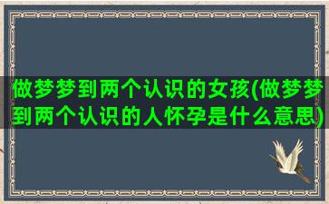 做梦梦到两个认识的女孩(做梦梦到两个认识的人怀孕是什么意思)