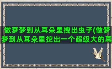 做梦梦到从耳朵里拽出虫子(做梦梦到从耳朵里挖出一个超级大的耳屎)