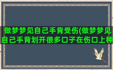 做梦梦见自己手背受伤(做梦梦见自己手背划开很多口子在伤口上种植物)