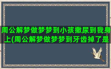 周公解梦做梦梦到小孩撒尿到我身上(周公解梦做梦梦到牙齿掉了是什么意思)