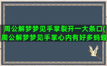 周公解梦梦见手掌裂开一大条口(周公解梦梦见手掌心内有好多蚂蝗)