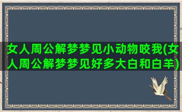 女人周公解梦梦见小动物咬我(女人周公解梦梦见好多大白和白羊)