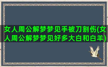 女人周公解梦梦见手被刀割伤(女人周公解梦梦见好多大白和白羊)