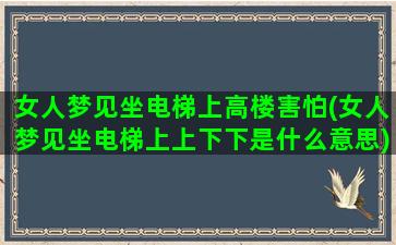 女人梦见坐电梯上高楼害怕(女人梦见坐电梯上上下下是什么意思)