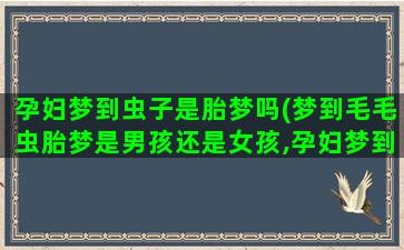 孕妇梦到虫子是胎梦吗(梦到毛毛虫胎梦是男孩还是女孩,孕妇梦到虫子是胎梦吗)