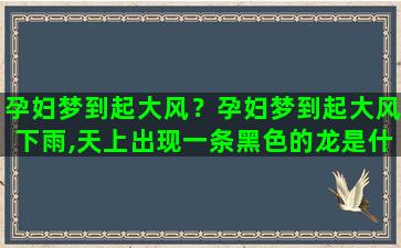 孕妇梦到起大风？孕妇梦到起大风下雨,天上出现一条黑色的龙是什么意思