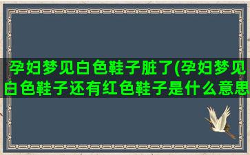 孕妇梦见白色鞋子脏了(孕妇梦见白色鞋子还有红色鞋子是什么意思)