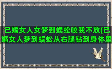 已婚女人女梦到蜈蚣咬我不放(已婚女人梦到蜈蚣从右腿钻到身体里面)