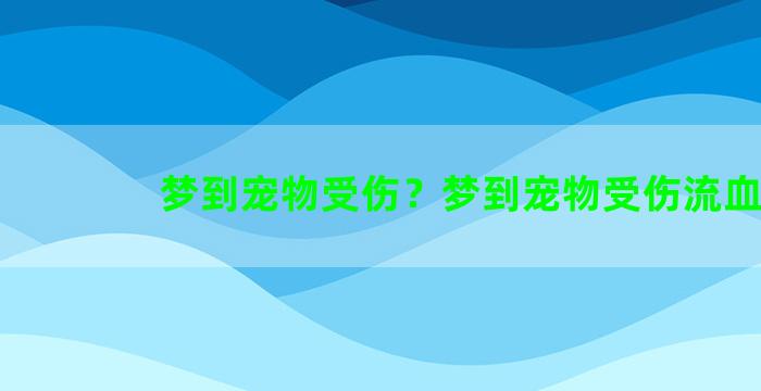 梦到宠物受伤？梦到宠物受伤流血