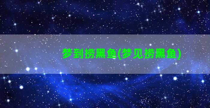 梦到捞黑鱼(梦见捞黑鱼)