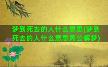 梦到死去的人什么意思(梦到死去的人什么意思周公解梦)