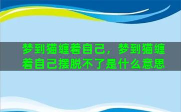 梦到猫缠着自己，梦到猫缠着自己摆脱不了是什么意思