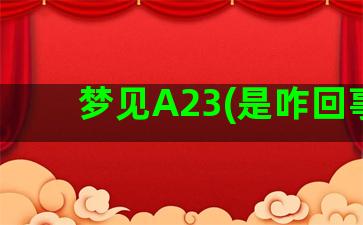 梦见A23(是咋回事)