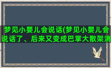 梦见小婴儿会说话(梦见小婴儿会说话了、后来又变成巴掌大散架消失了)