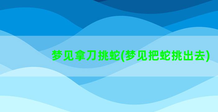 梦见拿刀挑蛇(梦见把蛇挑出去)