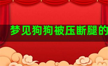 梦见狗狗被压断腿的预兆