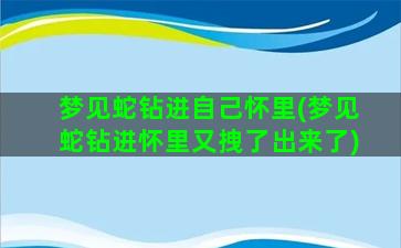 梦见蛇钻进自己怀里(梦见蛇钻进怀里又拽了出来了)