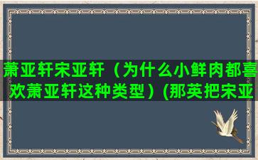 萧亚轩宋亚轩（为什么小鲜肉都喜欢萧亚轩这种类型）(那英把宋亚轩说成萧亚轩)