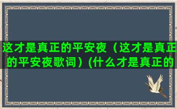 这才是真正的平安夜（这才是真正的平安夜歌词）(什么才是真正的平安)