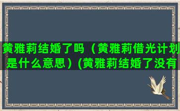 黄雅莉结婚了吗（黄雅莉借光计划是什么意思）(黄雅莉结婚了没有)